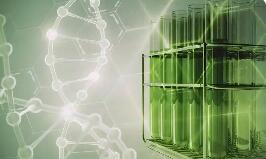 多重利好驅動 萬億級生物制造賽道將迎黃金發展期