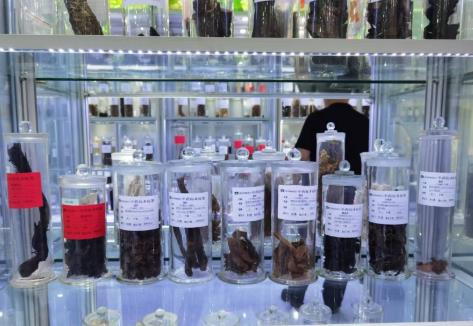 一粒“中藥”如何叩開“世界之門”？