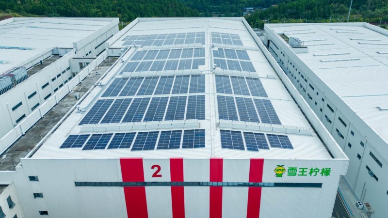 綠電賦能，鵬峰光伏為重慶潼南特色農業發展注入綠色動能