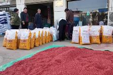 爭分奪秒保秋糧、穩豐收