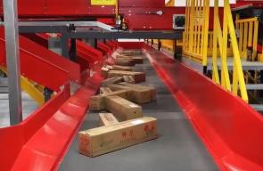 跟著鮮花“跑”物流！大市場如何“織”出大網絡？