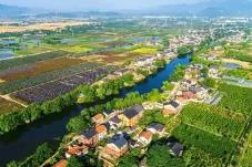 鄉村文旅怎樣激活消費新動能？