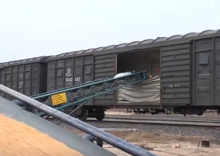 智慧運輸！創新“組合拳”保障糧食運輸“大動脈”智能、綠色、高效