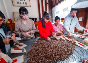 浙江諸暨：黨建引領打造香榧之鄉共富產業鏈