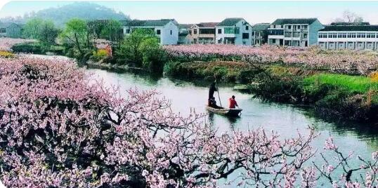 江蘇陽山 此心安處是桃源