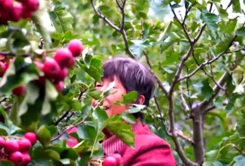 新亮點、新業態“熱”力十足助農增收 我國鄉村產業蓬勃興旺、韌性強