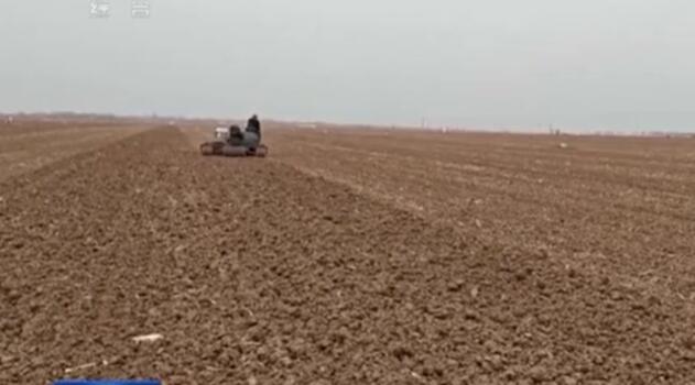 秋冬種基本結束 田間管理有序展開