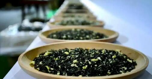 “榮縣花茶”香飄全國 躋身新茶飲核心供應區