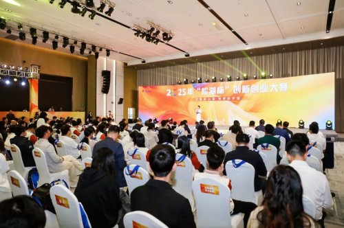 十年鍛造“創新雨林”！2025年“松湖杯”創賽再結碩果