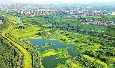 謀新重綠 向“智”求質——山東深化綠色低碳高質量發展觀察