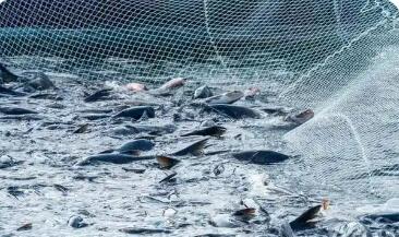 《貴州省大水面增殖漁業管理辦法》出臺