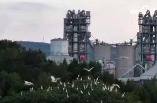 前11個月新興產業持續壯大 智能設備制造業銷售收入同比增長28.2%