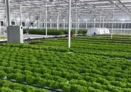 “三農”融資成本降低服務農業增產、農民增收 智慧農業等領域貸款增長明顯