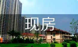 從政策端及土地出讓端發力 多地推進現房銷售制度落地