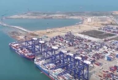 “船未到、手續已辦畢” 洋浦港持續釋放改革活力 集裝箱吞吐量創新高