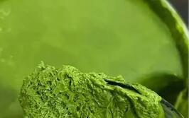 我國抹茶產業加速崛起