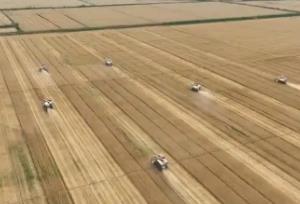 “十四五”新建改造高標準農田4.6億畝 為端穩“中國飯碗”提供“硬支撐”