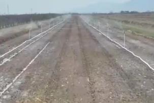 良種良技良法助力來年好“豐”景 特色農業開啟鄉村振興“新引擎”