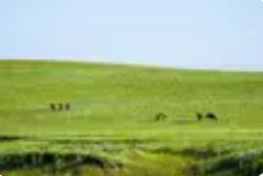 出游便捷又有趣 數智賦能內蒙古