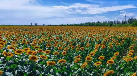 內蒙古首個地理標志保護示范區建成