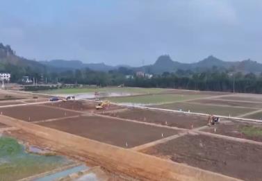 各地搶抓黃金施工期多維度發力 保障高標準農田建設筑牢糧食安全的良田根基