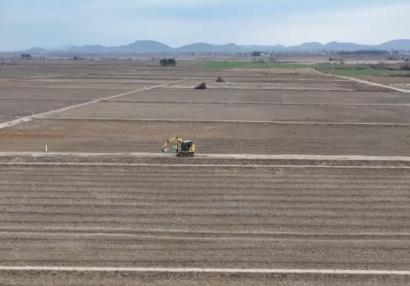 搶抓農閑時節 加快推進高標準農田建設