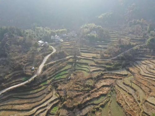 羅田煙草：鋪就鄉村振興“路”， 煥發鄉村新容顏