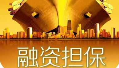 關于進一步發揮政府性融資擔保體系作用 加力支持就業創業的指導意見