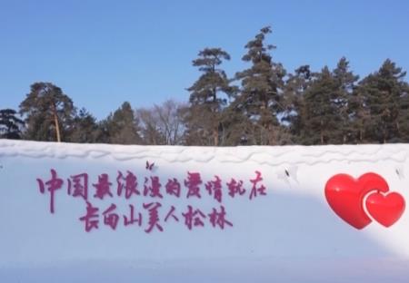 愛情森林、冰雪研學……解鎖“冰雪+”新場景 冬季文旅消費煥發新活力