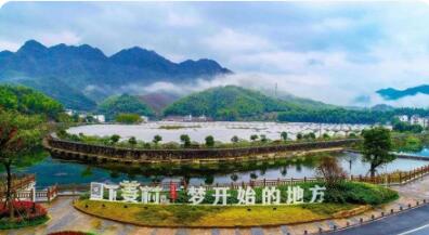 從“單打獨斗”向“抱團共富”轉變 浙江片區組團發展激活鄉村振興新動能