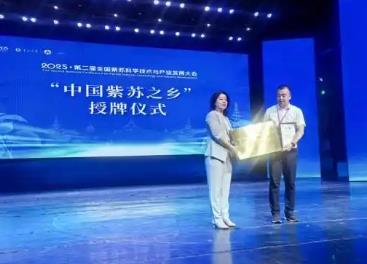 京蒙協作結碩果，鄂倫春自治旗獲批“中國紫蘇之鄉”