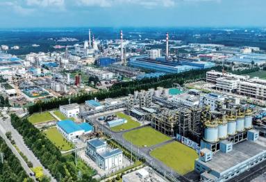 濟寧這一年｜招商引資繪就高質量發展新畫卷