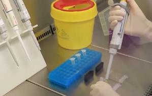 2025年我國累計發布226項食品農產品安全領域國家標準物質