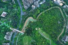 “十四五”期間，廣東生態環境質量走在全國前列