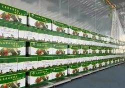 農業農村部：春節期間更多優質綠色年貨“上新” 滿足節日消費需求