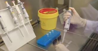 2025年我國累計發布226項食品農產品安全領域國家標準物質