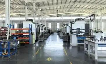 安徽蕭縣：發展外向型經濟 為現代化產業賦能