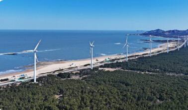 踏浪七千里 海韻譜華章——山東沿海城市“向海而興”高質量發展觀察