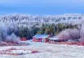 冬季內蒙古 千里冰雪盛情迎遠客