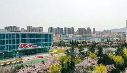 山東青島自貿片區發布“創業啟航”九條措施