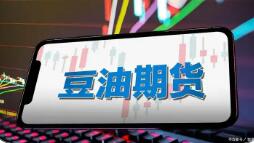 大商所豆油期貨上市20年 產業參與度持續提升