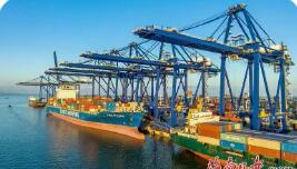 海南自由貿易港外貿經營主體備案數量超10萬家