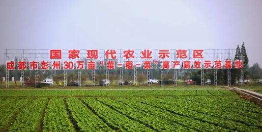 農業農村部會同財政部、國家發展改革委部署國家農業現代化示范區創建工作