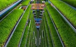 我國將重點建設6類國家農業現代化示范區