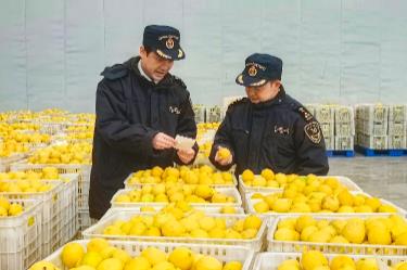 2025年四川外貿進出口總值10318.1億元