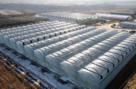 中國借助科技創新賦能農業發展