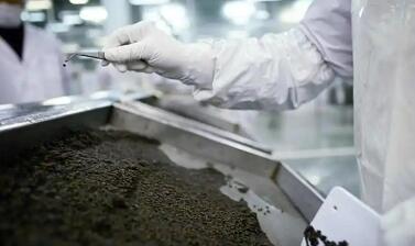 國產化 平民價  高端食材背后的中國產業突圍