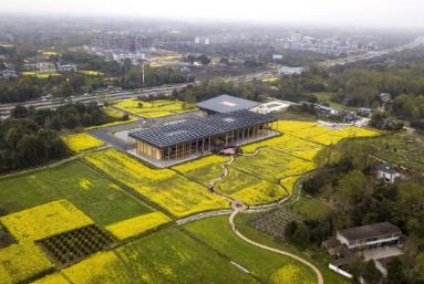 2025年四川農村社會事業成效顯著 27個典型案例發布推廣