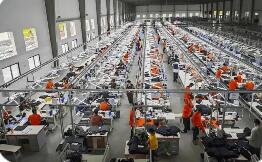 在冊總量376.89萬戶 浙江民營企業總體發展穩健向好