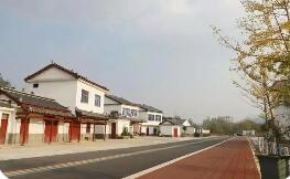 特色產業多點開花，鄉村振興活力滿格